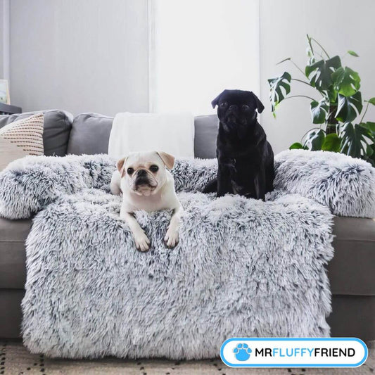 Le meilleur tissu de canapé pour les chiens