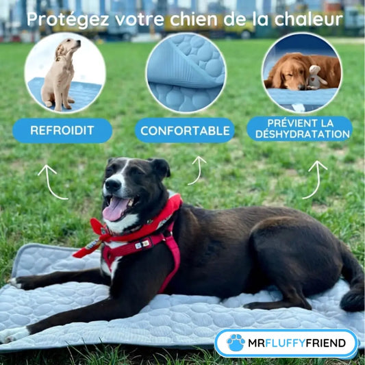 Chien heureux sur un tapis rafraîchissant MrFluffyFriend montrant comment fonctionne un tapis rafraîchissant pour chien afin de prévenir l’hyperthermie chez le chien