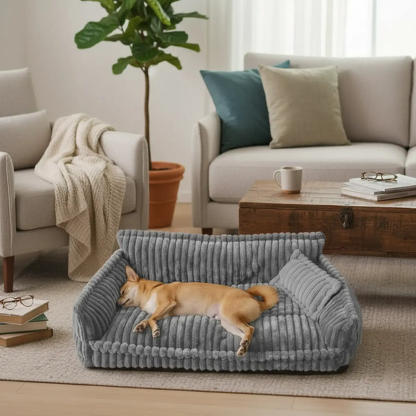 Pourquoi les maîtres l’adorent :