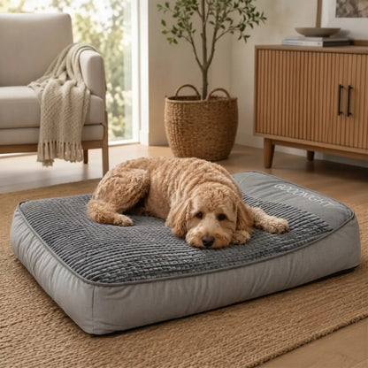 MrFluffyFriend® - Coussin Apaisant pour Chien