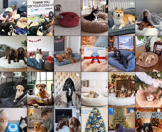 Collage de photos envoyées par les clients montrant des animaux (chiens, chats) sur des produits MrFluffyFriend

