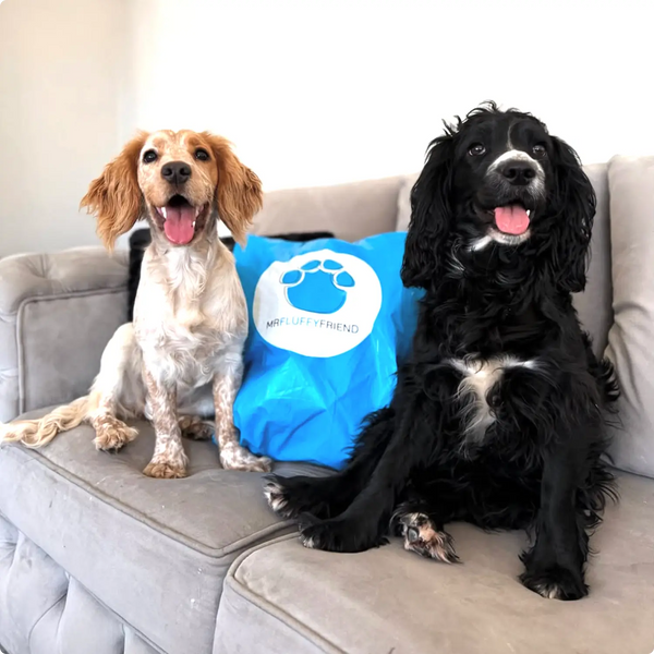 Comment déballer et entretenir votre produit MrFluffyFriend 🐾