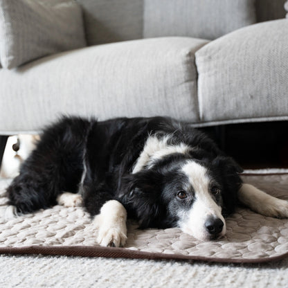 MrFluffyFriend® - Tapis rafraîchissant pour chien